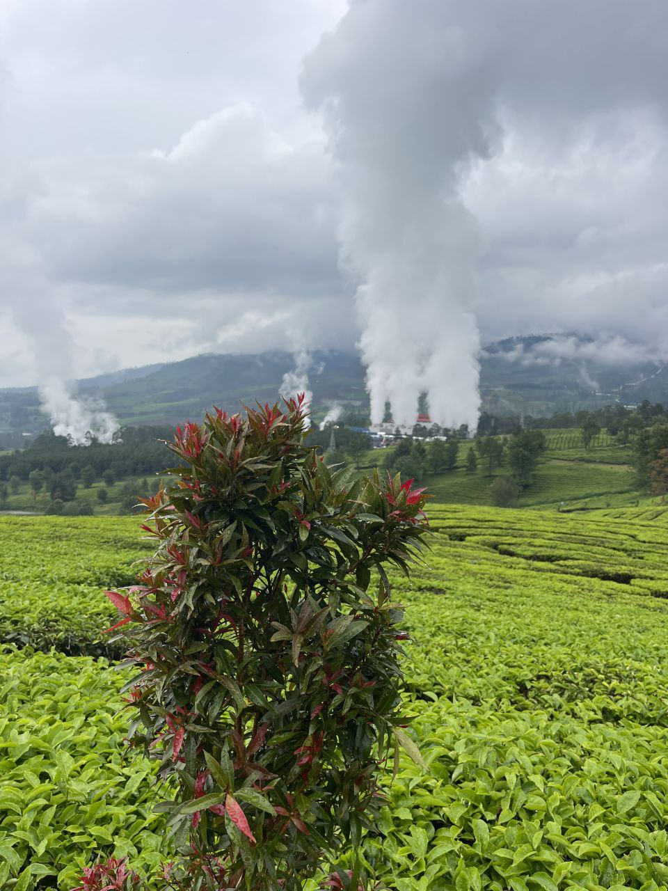 Wayang Windu Panenjoan Web (27)